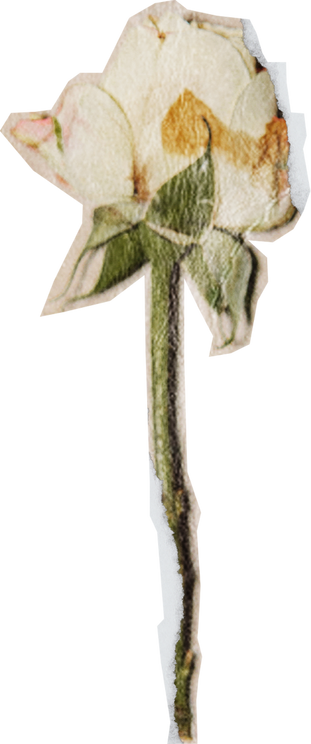 Vintage Feminine Romantic Rose Cutout