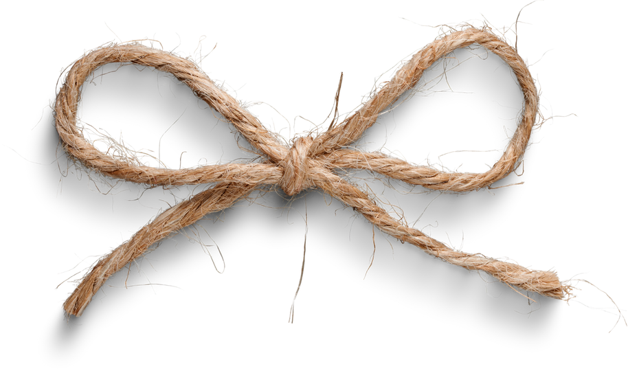 Premium isolated images & templates