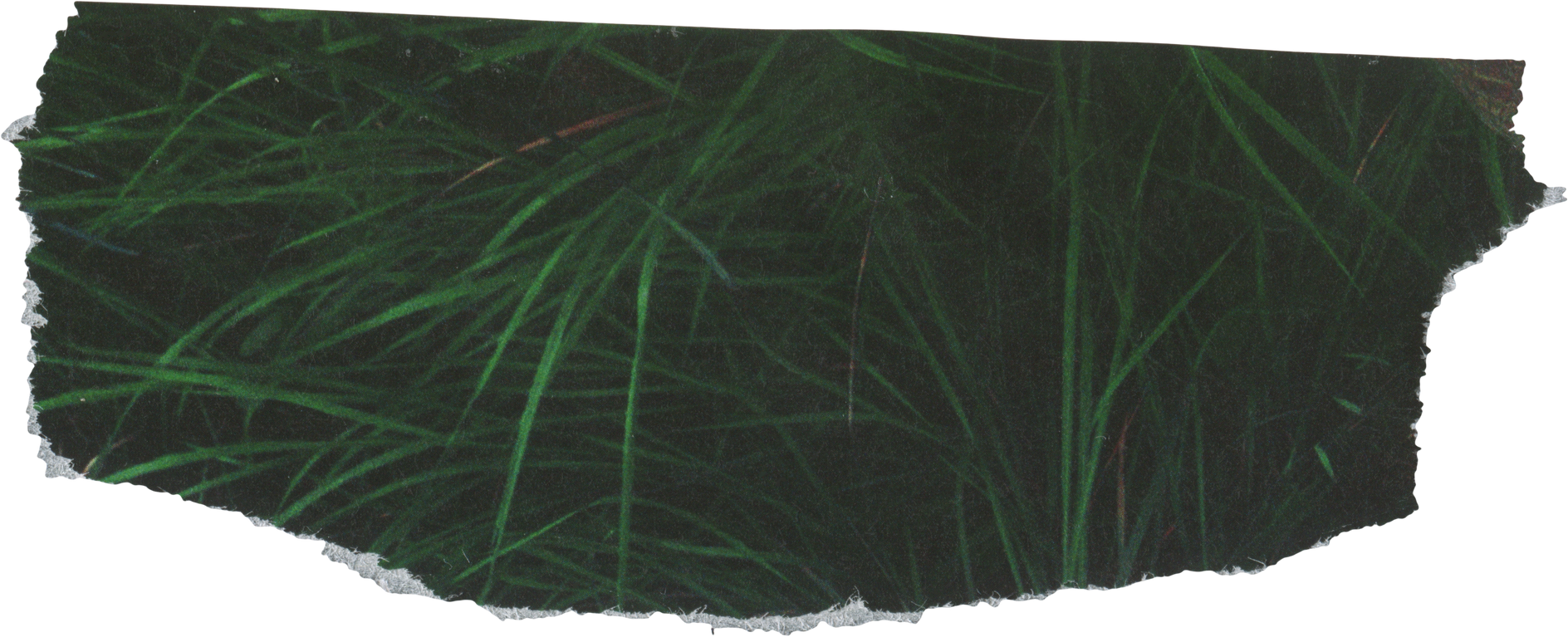 green scrap magazine paper